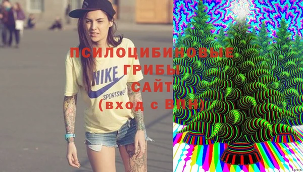 Альфа ПВП Алексеевка