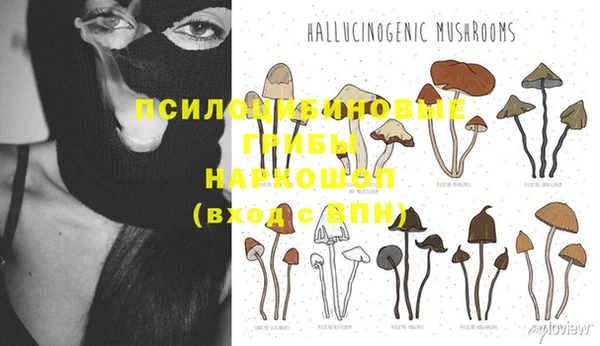 спайс Абаза