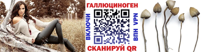 Галлюциногенные грибы Cubensis  магазин продажи наркотиков  Кирсанов 